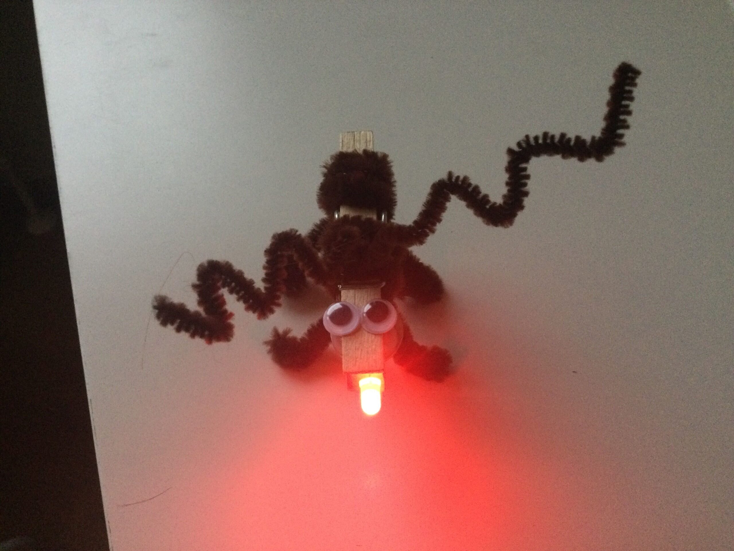 Image from iOS (1)